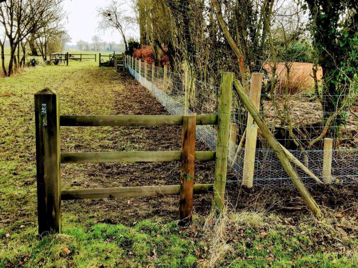 Agricultural fencing services in Chelmsford