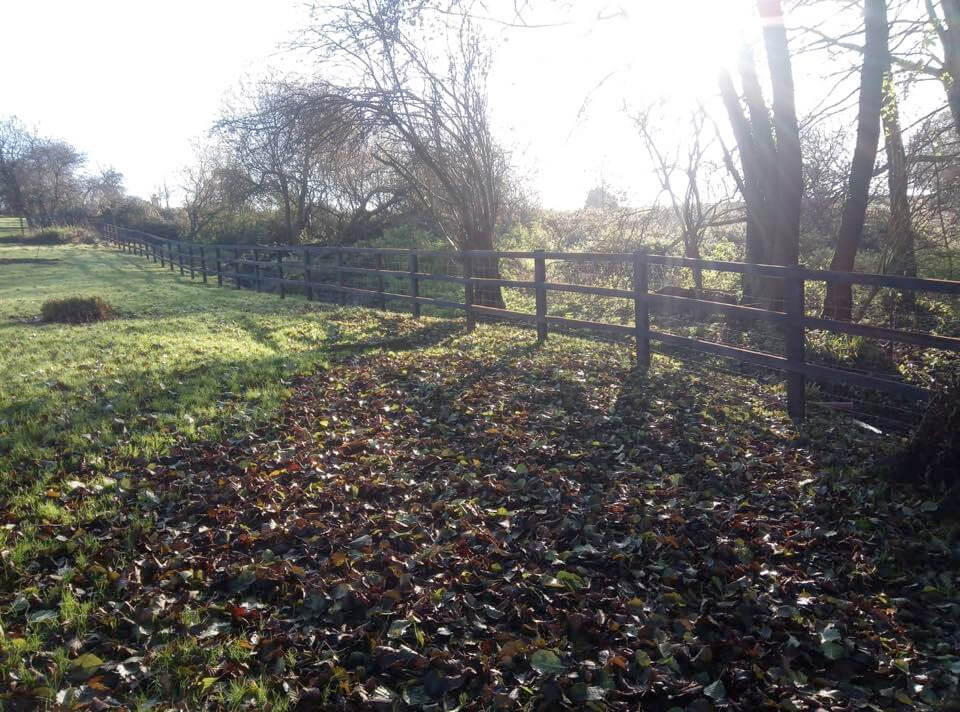 Agricultural fencing services in Dunmow