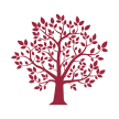 Falcon tree specialists tree icon