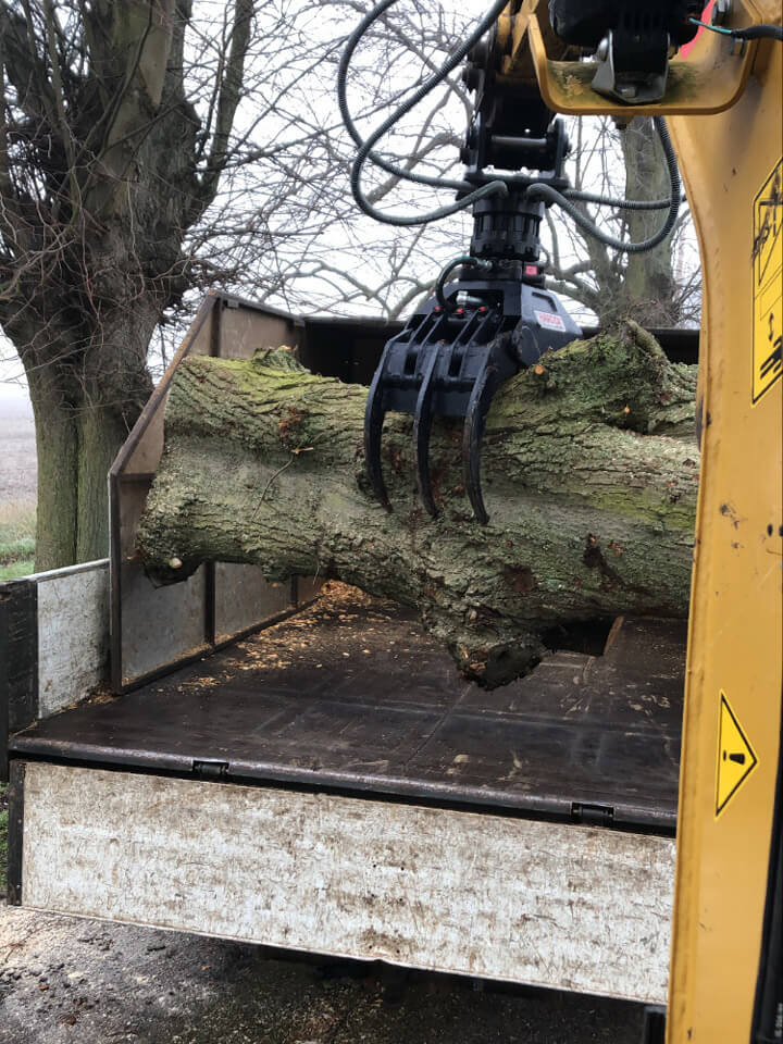 Commercial Tree Surgery in Essex Tree Removal at Care Home in Dunmow